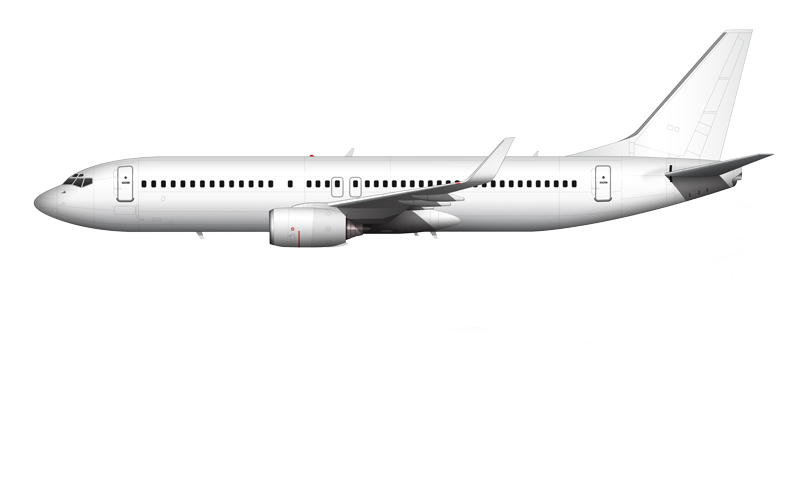 737-800_white_blended_winglets